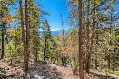 Elsie Road, Conifer, CO 80433 - Photo 16