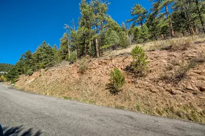 Elsie Road, Conifer, CO 80433 - Photo 28
