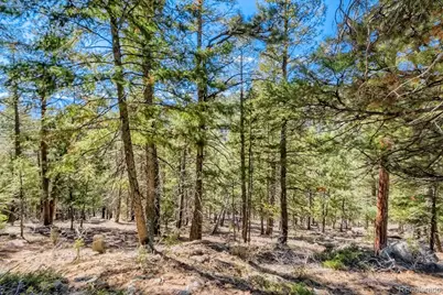 Elsie Road, Conifer, CO 80433 - Photo 22