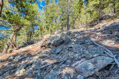 Elsie Road, Conifer, CO 80433 - Photo 18