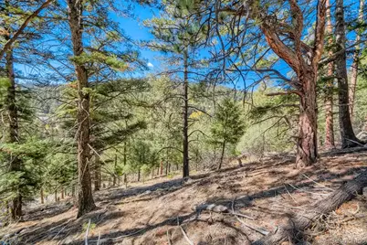 Elsie Road, Conifer, CO 80433 - Photo 6