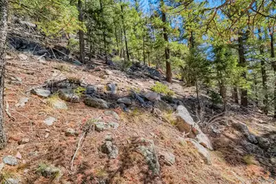Elsie Road, Conifer, CO 80433 - Photo 20