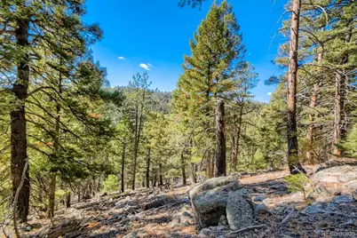 Elsie Road, Conifer, CO 80433 - Photo 14