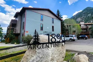 1890 Argentine St, Georgetown, CO 80444 - Photo 24