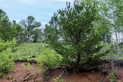 1693 Golden Cycle Circle, Cripple Creek, CO 80813 - Photo 24