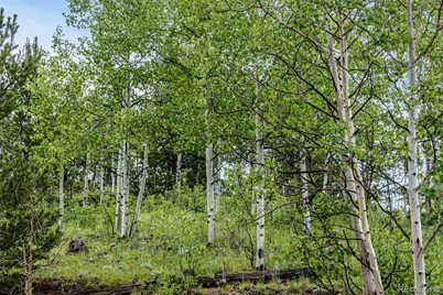 1693 Golden Cycle Circle, Cripple Creek, CO 80813 - Photo 26