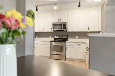 431 Black Feather Loop #811, Castle Rock, CO 80104 - Photo 4