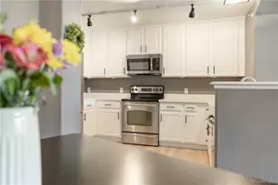 431 Black Feather Loop, Castle Rock, CO 80104 - Photo 4