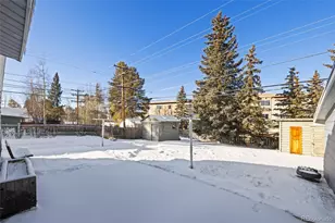 1608 Mt Massive Dr, Leadville, CO 80461 - Photo 28