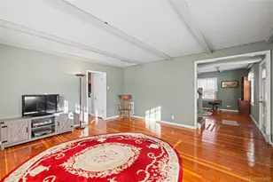 1608 Mt Massive Dr, Leadville, CO 80461 - Photo 4