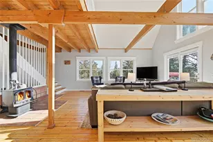 1397 S Pine Dr, Bailey, CO 80421 - Photo 4