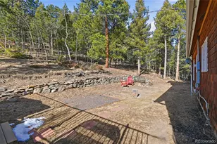 1397 S Pine Dr, Bailey, CO 80421 - Photo 34