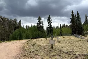 2544 E Longbow Dr, Jefferson, CO 80456 - Photo 30