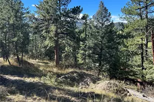 0 Pine Rd, Evergreen, CO 80439 - Photo 1