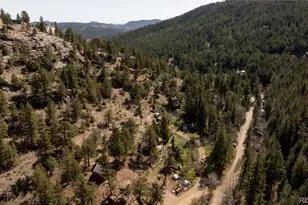 1264 Beaver Brook Canyon Rd, Evergreen, CO 80439 - Photo 46