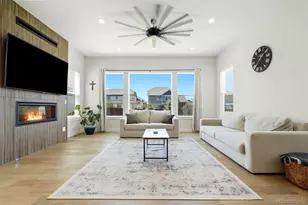 1702 Branching Canopy Dr, Windsor, CO 80550 - Photo 6