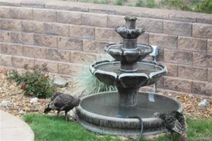 620 Cumberland Rd, Larkspur, CO 80118 - Photo 30