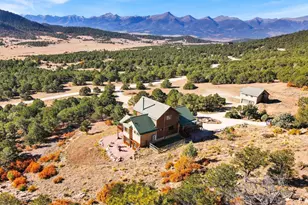 581 Corral, Cotopaxi, CO 81223 - Photo 34