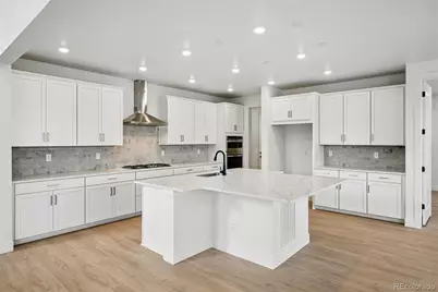 1667 Fox Trotter Point, Castle Rock, CO 80104 - Photo 8