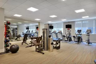 250 Columbine St, Denver, CO 80206 - Photo 38