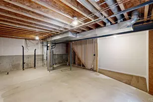 716 Bristle Cone Dr, Severance, CO 80550 - Photo 24