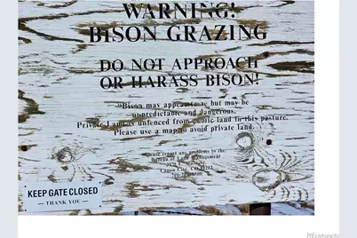 391 Gulch Road, Hartsel, CO 80449 - Photo 16