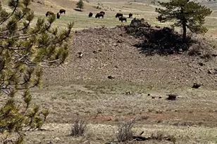 391 Gulch Rd, Hartsel, CO 80449 - Photo 1