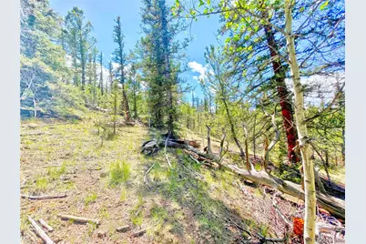 224 Apache Trail, Como, CO 80456 - Photo 6