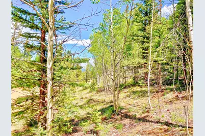 224 Apache Trail, Como, CO 80456 - Photo 2