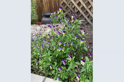 1145 S Williams Street, Denver, CO 80210 - Photo 46