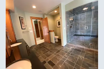 1145 S Williams Street, Denver, CO 80210 - Photo 30