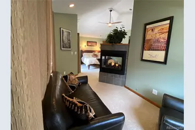 1145 S Williams Street, Denver, CO 80210 - Photo 22