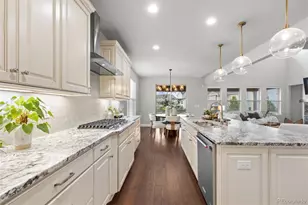 22463 E Mosey Cir, Parker, CO 80138 - Photo 12