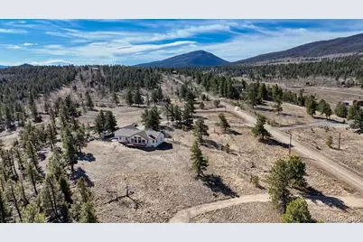 3561 Singletree Road, Hartsel, CO 80449 - Photo 44