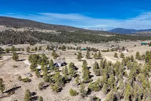 3561 Singletree Rd, Hartsel, CO 80449 - Photo 40