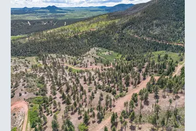 5881 Pawnee Road, Larkspur, CO 80118 - Photo 4