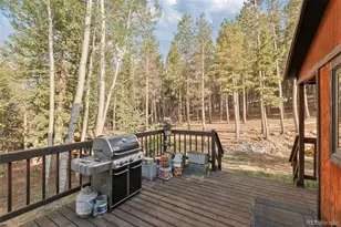 100 Raptor Point Rd, Golden, CO 80403 - Photo 36
