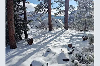 9648 Yegge Road, Morrison, CO 80465 - Photo 8