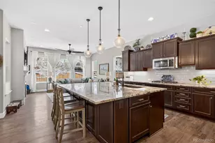 11234 Sweet Cicely Dr, Parker, CO 80134 - Photo 10