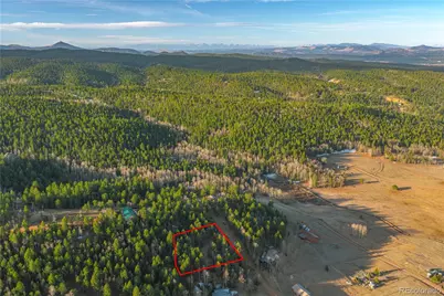 88 Malmsey Lane, Divide, CO 80814 - Photo 6