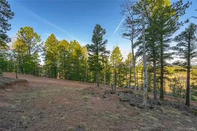 88 Malmsey Lane, Divide, CO 80814 - Photo 12