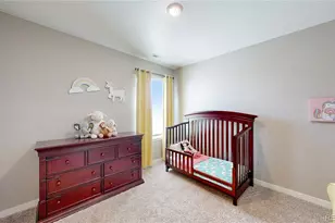 2122 Pineywoods St, Mead, CO 80542 - Photo 20
