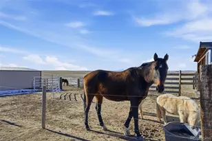 7600 Patrick Trail, Elizabeth, CO 80107 - Photo 24