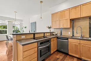 1738 N Franklin Street, Denver, CO 80218 - Photo 10