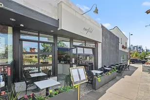 1738 N Franklin Street, Denver, CO 80218 - Photo 26