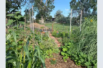 6404 Benton Street, Arvada, CO 80003 - Photo 4