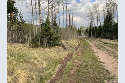 Lot 2610 Lux Lane, Fort Garland, CO 81133 - Photo 1