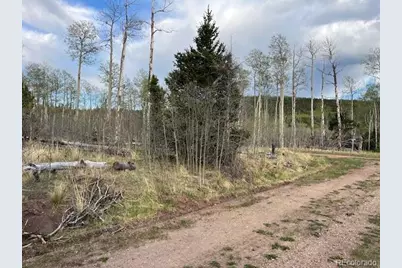 Lot 2610 Lux Lane, Fort Garland, CO 81133 - Photo 4