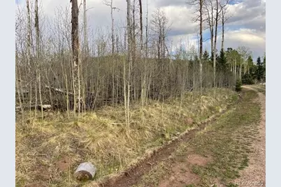 Lot 2610 Lux Lane, Fort Garland, CO 81133 - Photo 2