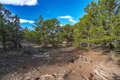 1382 Chinook Drive, Canon City, CO 81212 - Photo 6